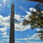 Washington National Monument
