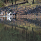 Apache National Forest