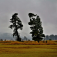 Conboy Lake National Wildlife Refuge