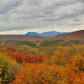 Black Canyon of the Gunnison National Park