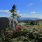 Acadia National Park