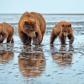 Lake Clark National Park
