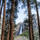 Yosemite National Park