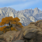 Alabama Hills Recreation Area