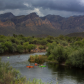 Tonto National Forest