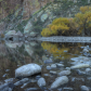 Tonto National Forest