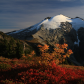 Mount Baker-Snoqualmie National Forest