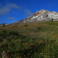 Mt Hood Wilderness Area