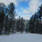 Black Hills National Forest