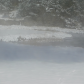 Black Hills National Forest