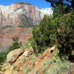 Zion National Park