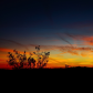 Mojave National Preserve