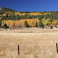 Humboldt-Toiyabe National Forest 