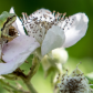 Nisqually National Wildlife Refuge