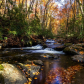 Great Smoky Mountains National Park
