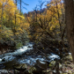 Great Smoky Mountains National Park