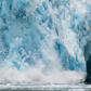 Tongass National Forest