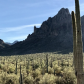 Ironwood Forest National Monument