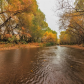 Aravaipa Canyon Wilderness