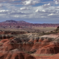 Petrified Forest National Park