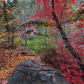 Coconino National Forest