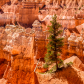 Bryce Canyon National Park