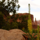 Arches National Park