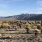 Joshua Tree National Park