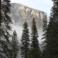 Yosemite National Park