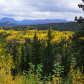 Denali National Park