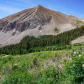 Manti-La Sal National Forest
