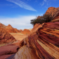 North Coyote Buttes