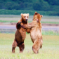 Katmai National Park and Preserve