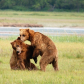 Katmai National Park and Preserve