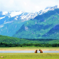 Katmai National Park and Preserve