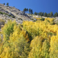 Humboldt-Toiyabe National Forest
