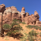 Arches National Park