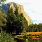 Yosemite National Park