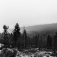 Yosemite National Park