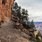 Grand Canyon National Park