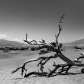 Death Valley National Park