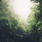 Great Smoky Mountains National Park