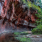Coconino National Forest