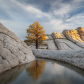 White Pocket, Vermilion Cliffs National Monument
