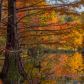 Cherokee National Forest