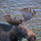 Grand Teton National Park