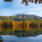 Cherokee National Forest