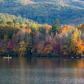 Cherokee National Forest