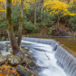 Cherokee National Forest