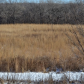 Mississippi National River and Recreation Area